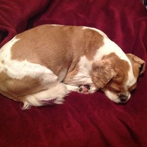 Meet your Posher, Kinga